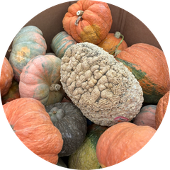 Taryn profile
          image